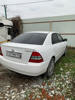 Toyota Corolla